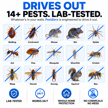 Banish 14+ Pests for Good