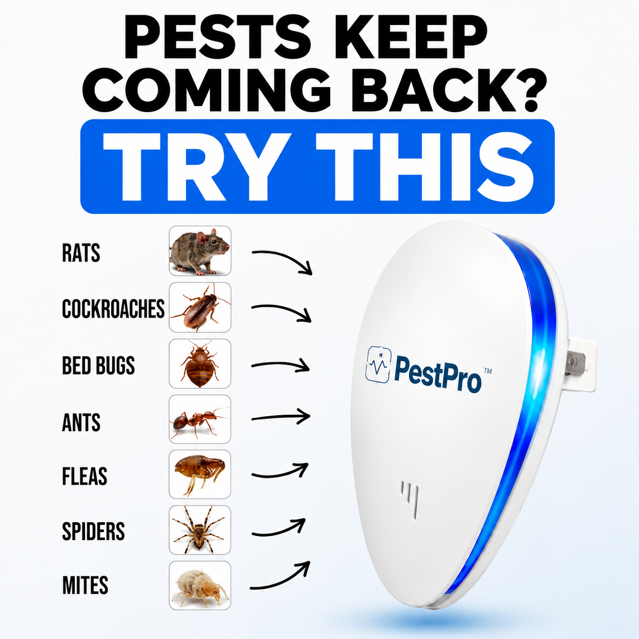 Banish 14+ Pests for Good